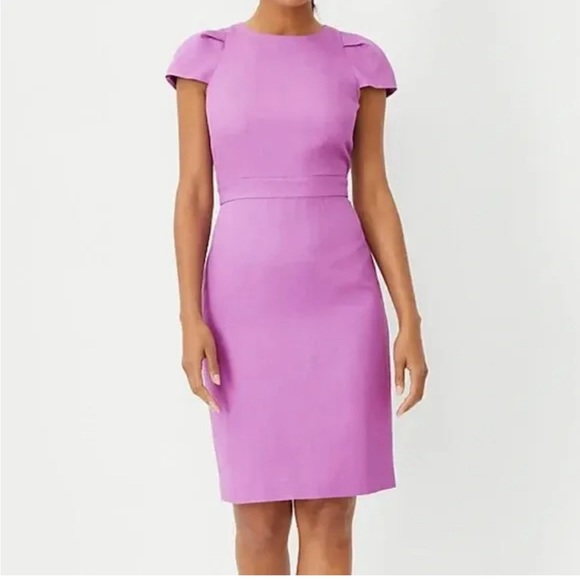 Ann Taylor Dresses & Skirts - Ann Taylor Purple Cap Sleeve Dress